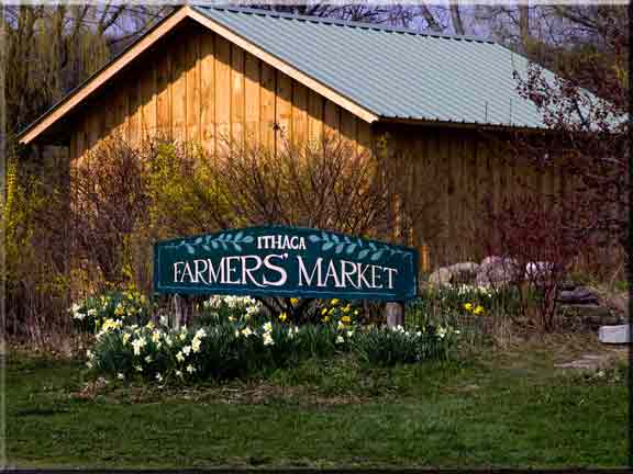 New storage shed changes the landscape behind the Ithaca Market sign.